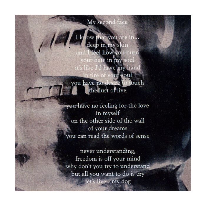 Coy Impact - Interior