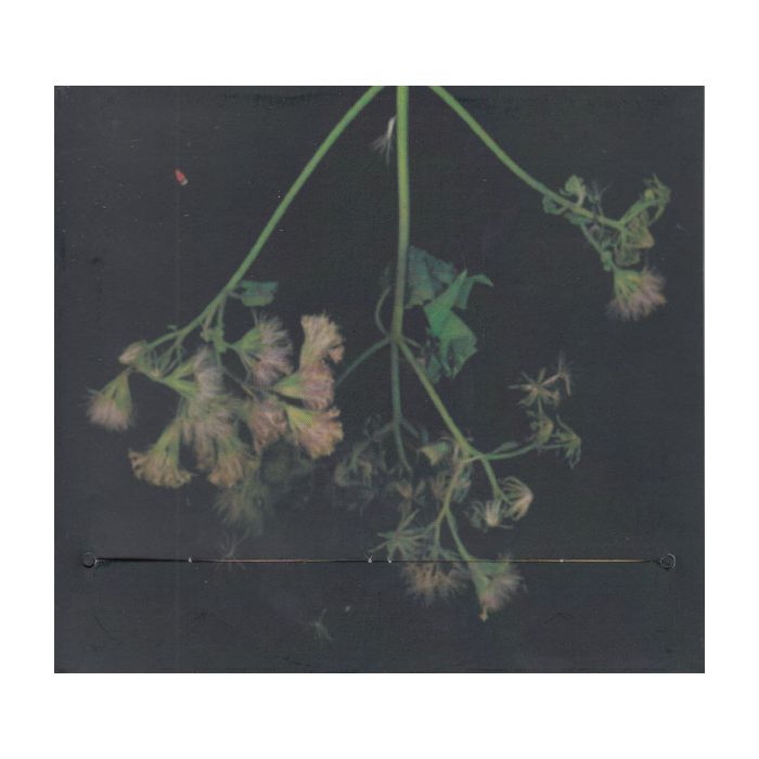 Scott Matthew - Scott Matthew