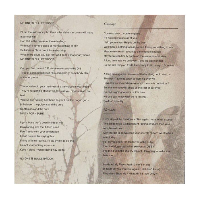 Slipknot - .5: The Gray Chapter