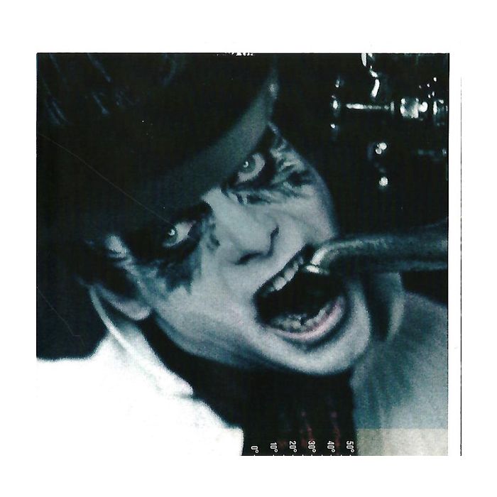 Rammstein - Rosenrot
