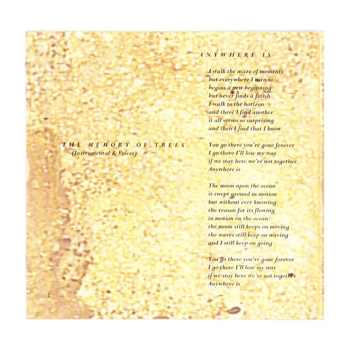 Enya - The Memory Of Trees