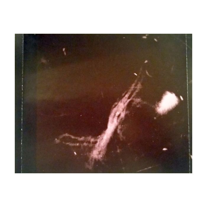 Bandaloop - Aromatik