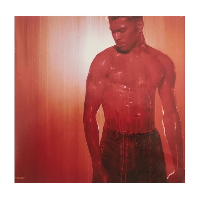 Ginuwine - 100% Ginuwine
