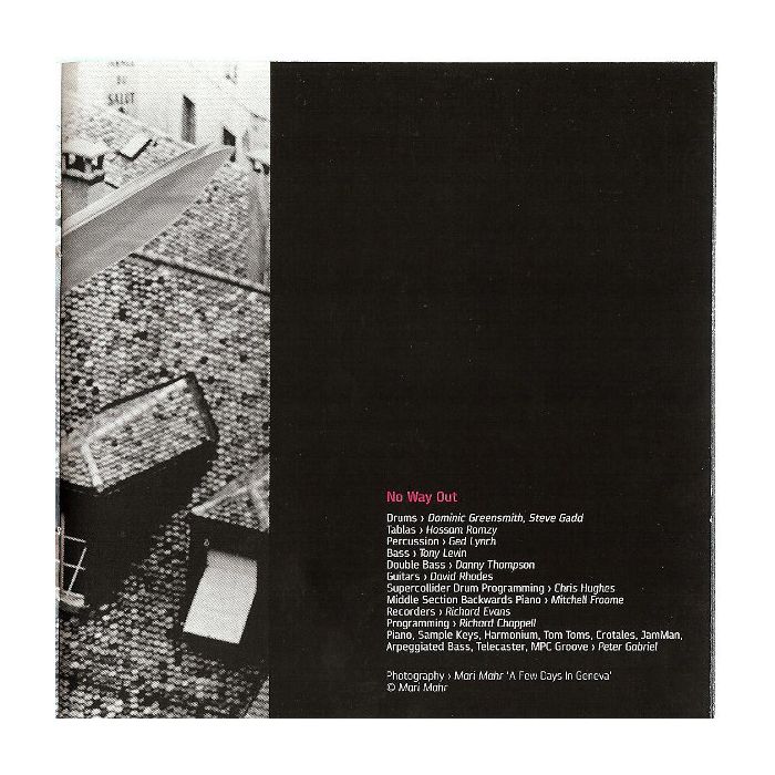 Peter Gabriel - Up