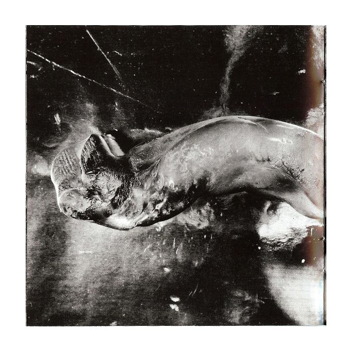 Peter Gabriel - Up