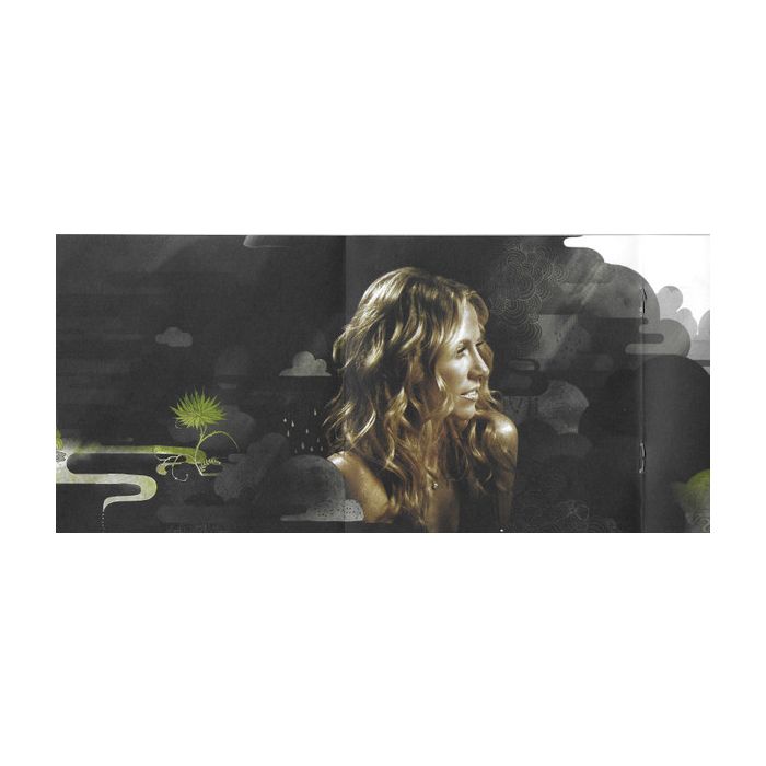 Sheryl Crow - Wildflower