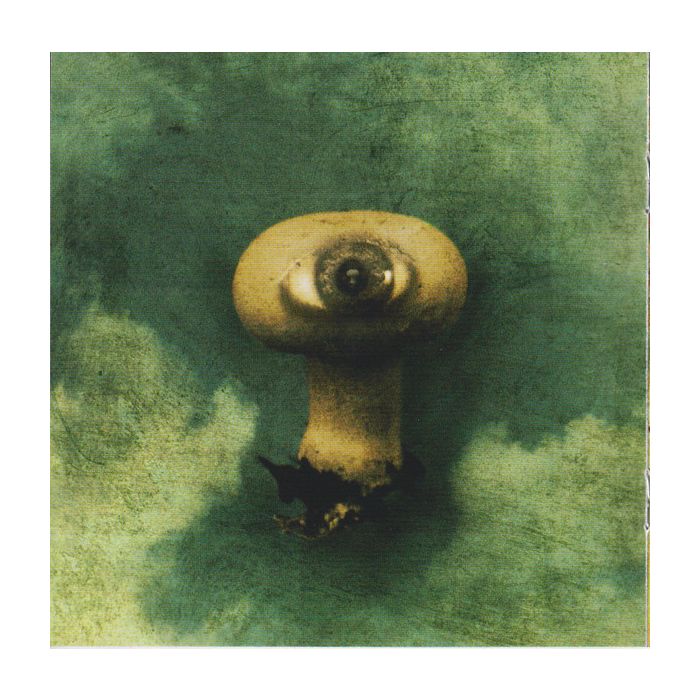 Porcupine Tree - Voyage 34