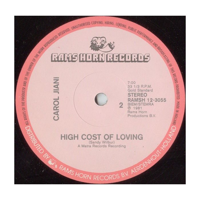 Carol Jiani - Hit 'N Run Lover (A Special Moby Mix Disco R.E.M.I.X)