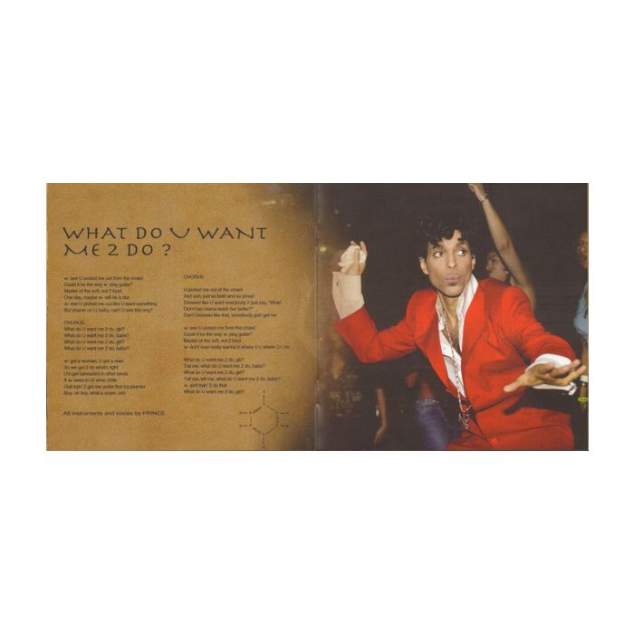 Prince - Musicology
