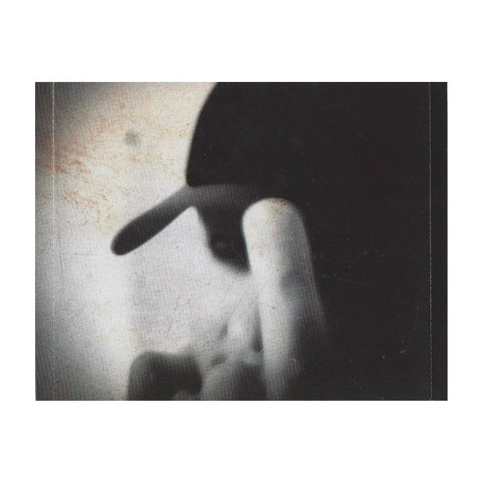 Slipknot - .5: The Gray Chapter
