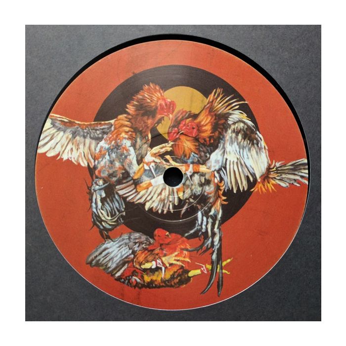L_cio - VP004