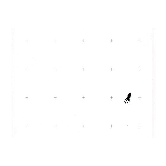 MIA. - Willkommen Im Club