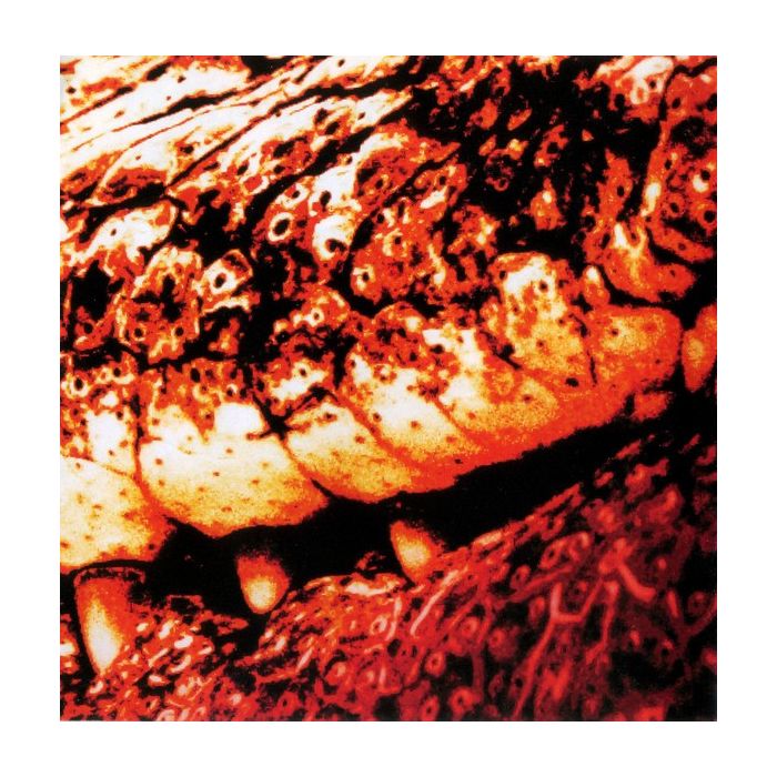 Subway To Sally - Bastard