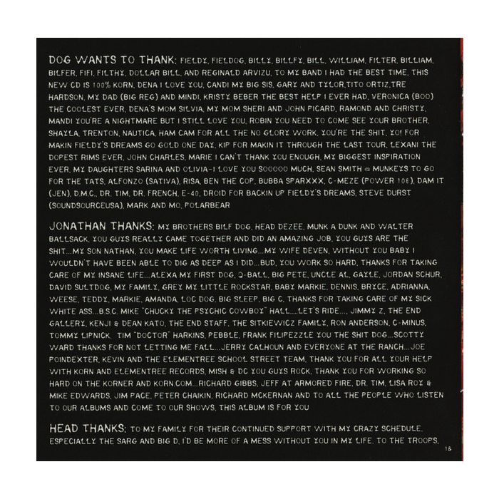 Korn - Take A Look In The Mirror