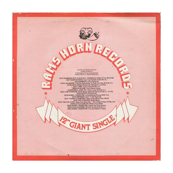 The Flirts - Passion (Special R.E.M.I.X.E.D. Disco Version)