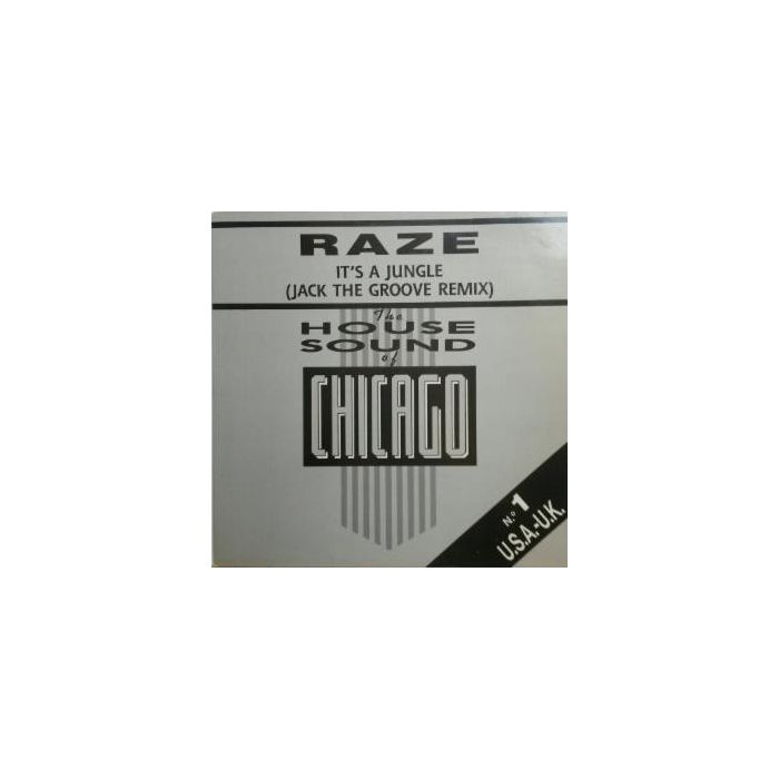 Raze - It's A Jungle (Jack The Groove Remix)