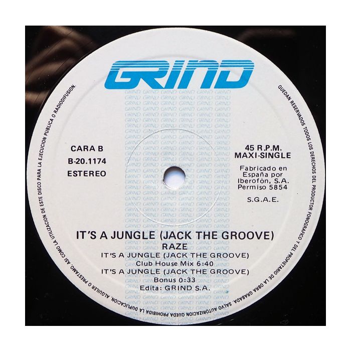Raze - It's A Jungle (Jack The Groove Remix)