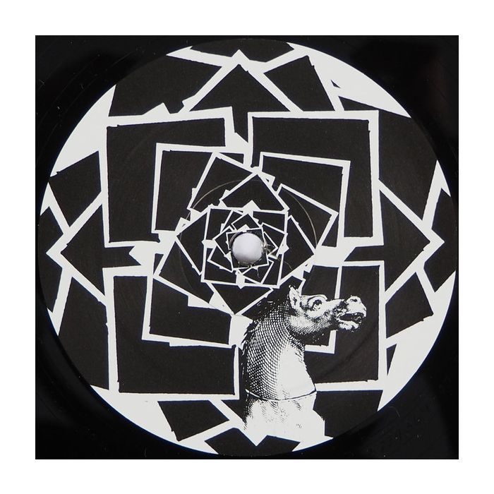 Daze Maxim - Pull Absurde