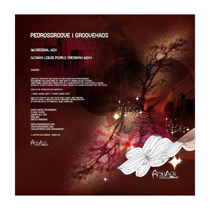 Pedrosgroove - Groovekaos