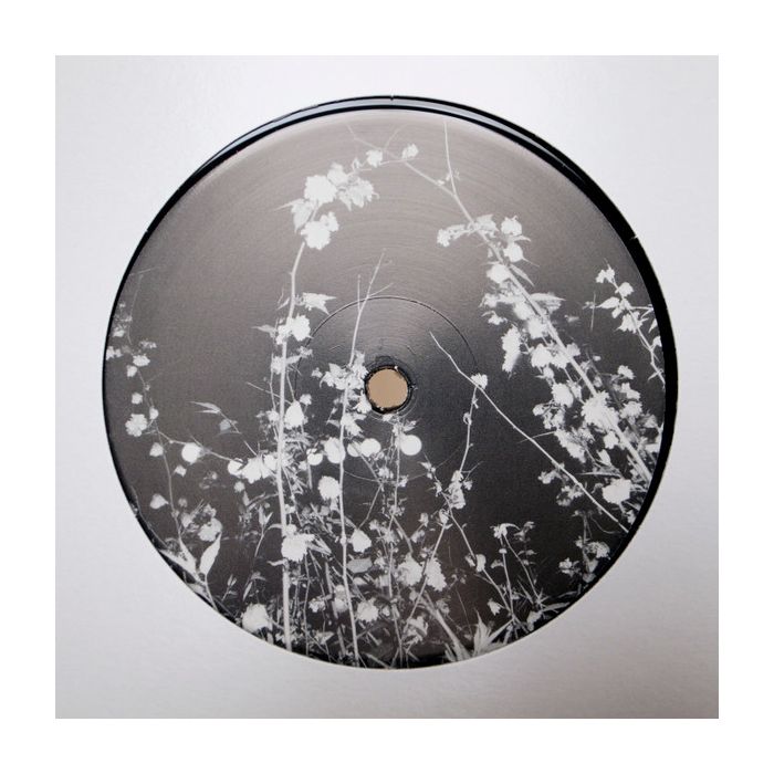 Takeshi Kouzuki - FMBass / Eternal