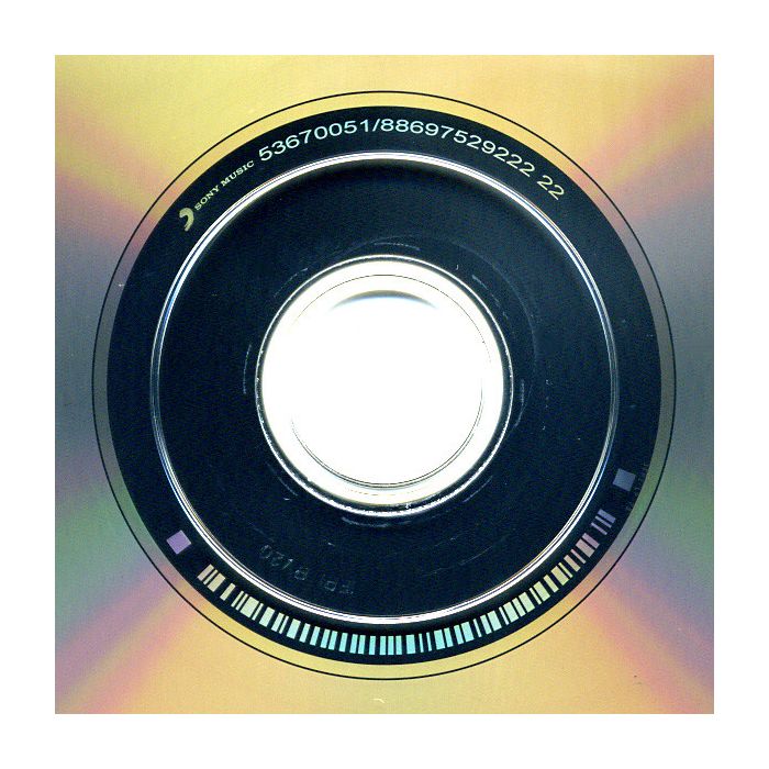 The Gossip - Music For Men