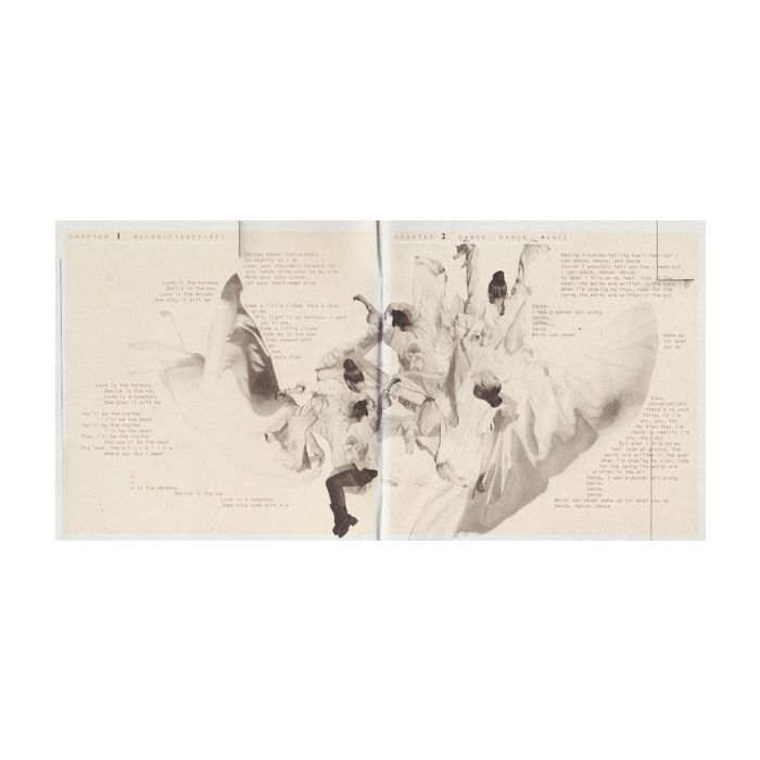 Lykke Li - Youth Novels