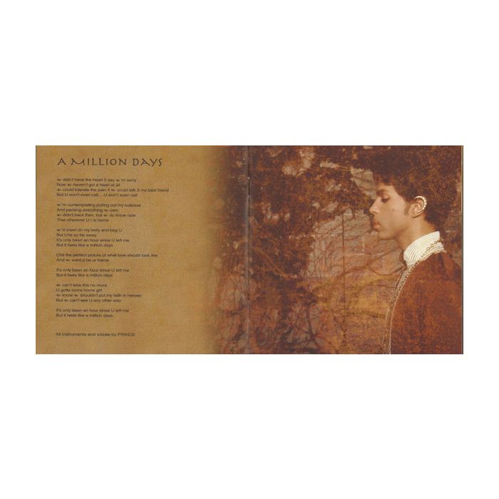 Prince - Musicology