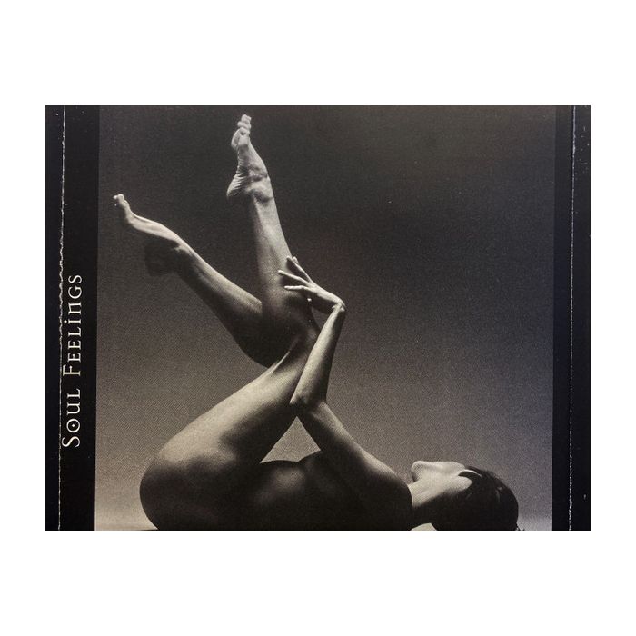 Various - Soul Feelings