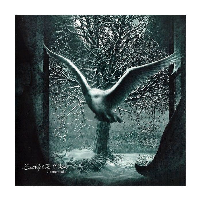 Nightwish - Dark Passion Play
