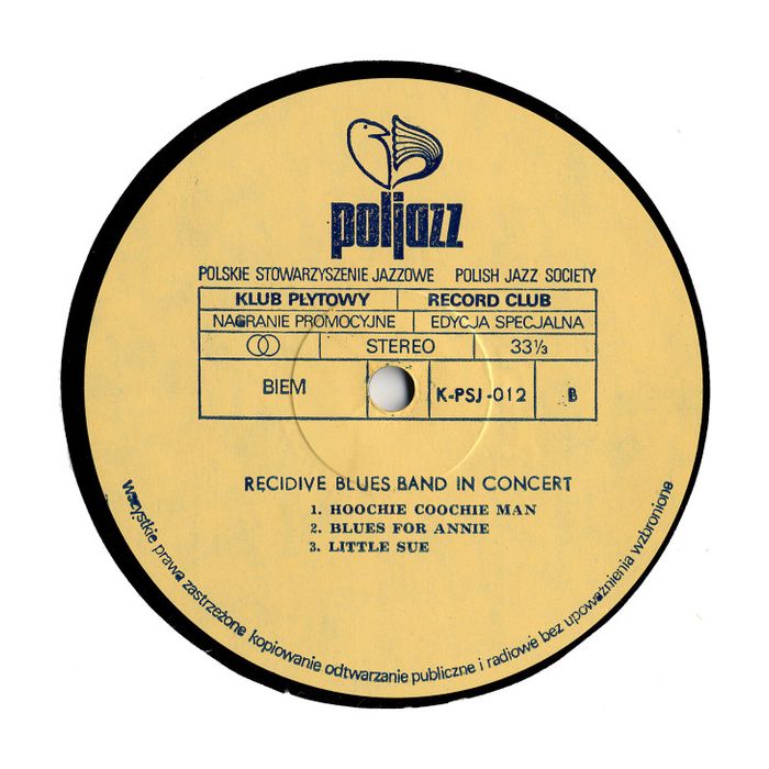 Recydywa Blues Band - In Concert