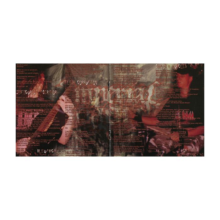 Imperial Sodomy - Demolished