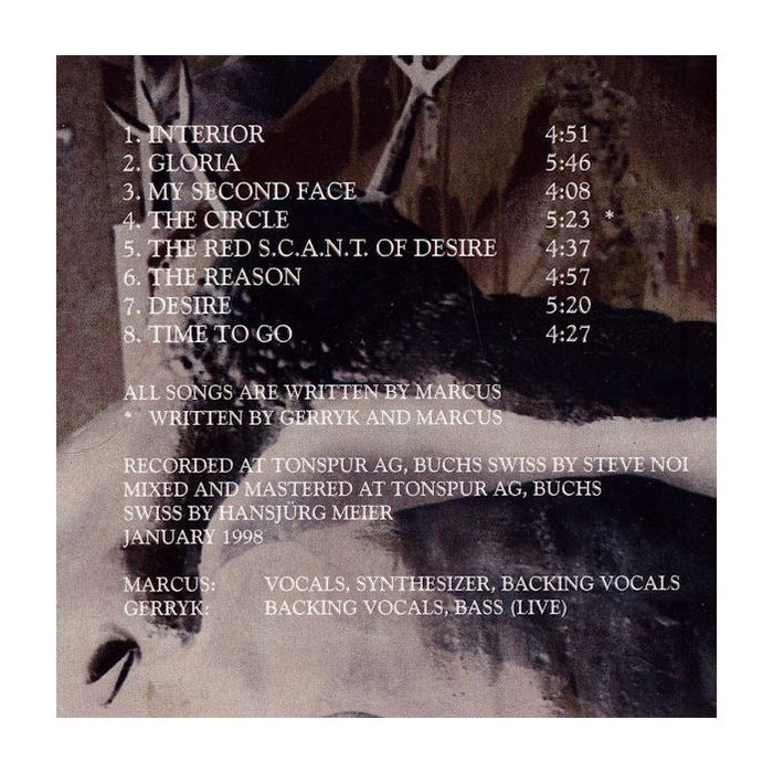 Coy Impact - Interior