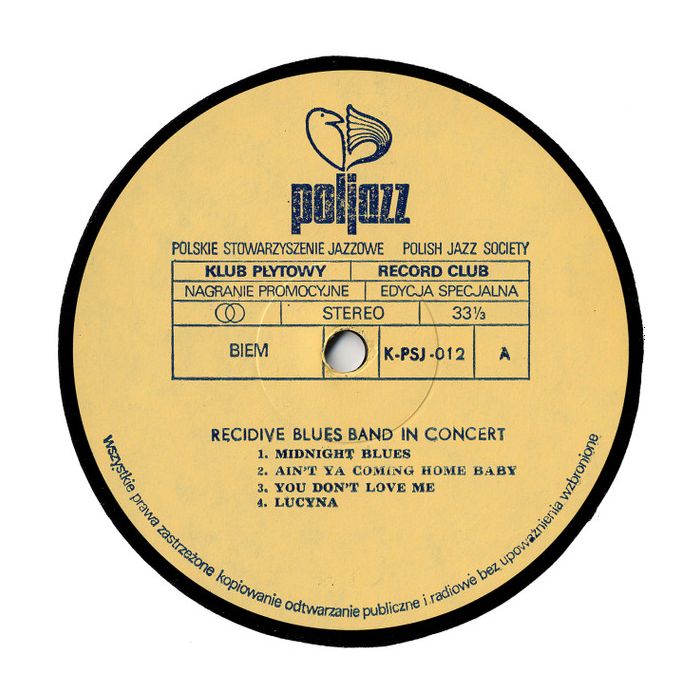 Recydywa Blues Band - In Concert