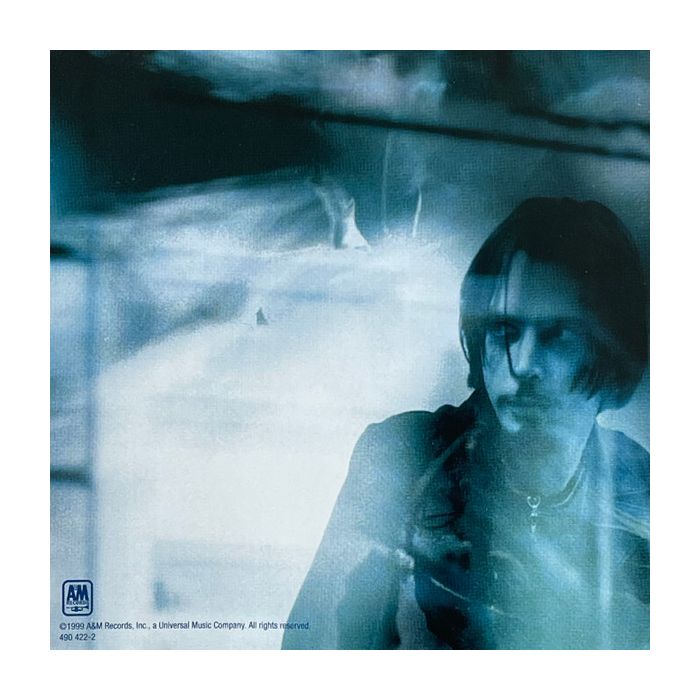 Chris Cornell - Euphoria Morning