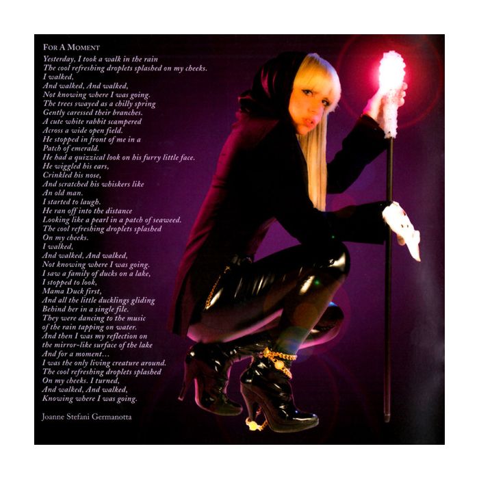 Lady Gaga - The Fame Monster