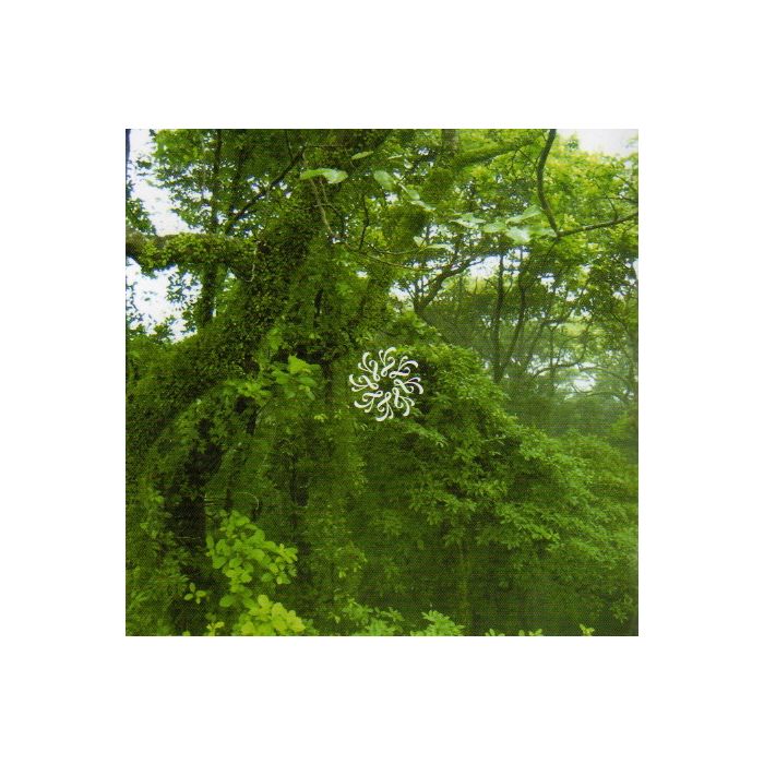 Al-Pha-X & Ma Faiza Selected by Raphaël Marionneau - Al-Pha-X & Ma Faiza