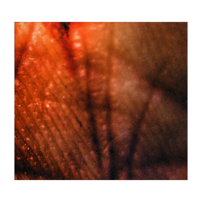 Subway To Sally - Bastard