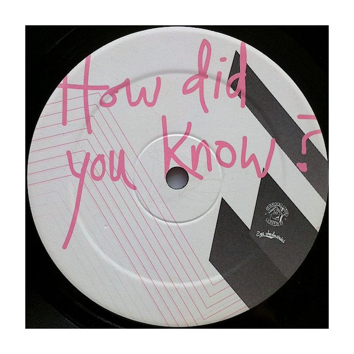 Kurtis Mantronik Presents Chamonix - How Did You Know