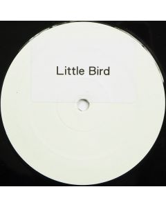 Annie Lennox - Little Bird (House Remix)