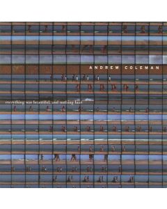 Andrew Coleman - Everything Was Beautiful, And Nothing Hurt