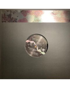 Various - Acid Explorations