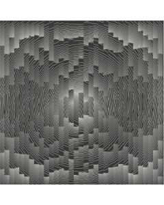 Satoshi Tomiie - B01V