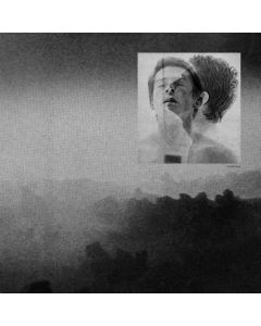 Edward - Shufflehead