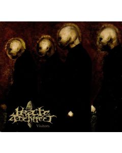 Irate Architect - Visitors