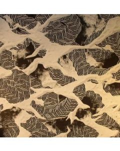 S Olbricht - Trancess  