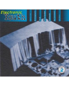Various - Electronic Youth Vol.2