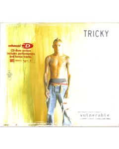Tricky - Vulnerable