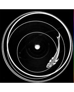 Various - The Lost Tracks