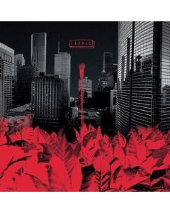 Verbo Pluriel / Meadow  - Hicks EP