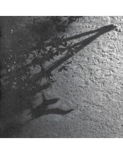 Max Richter - The Blue Notebooks